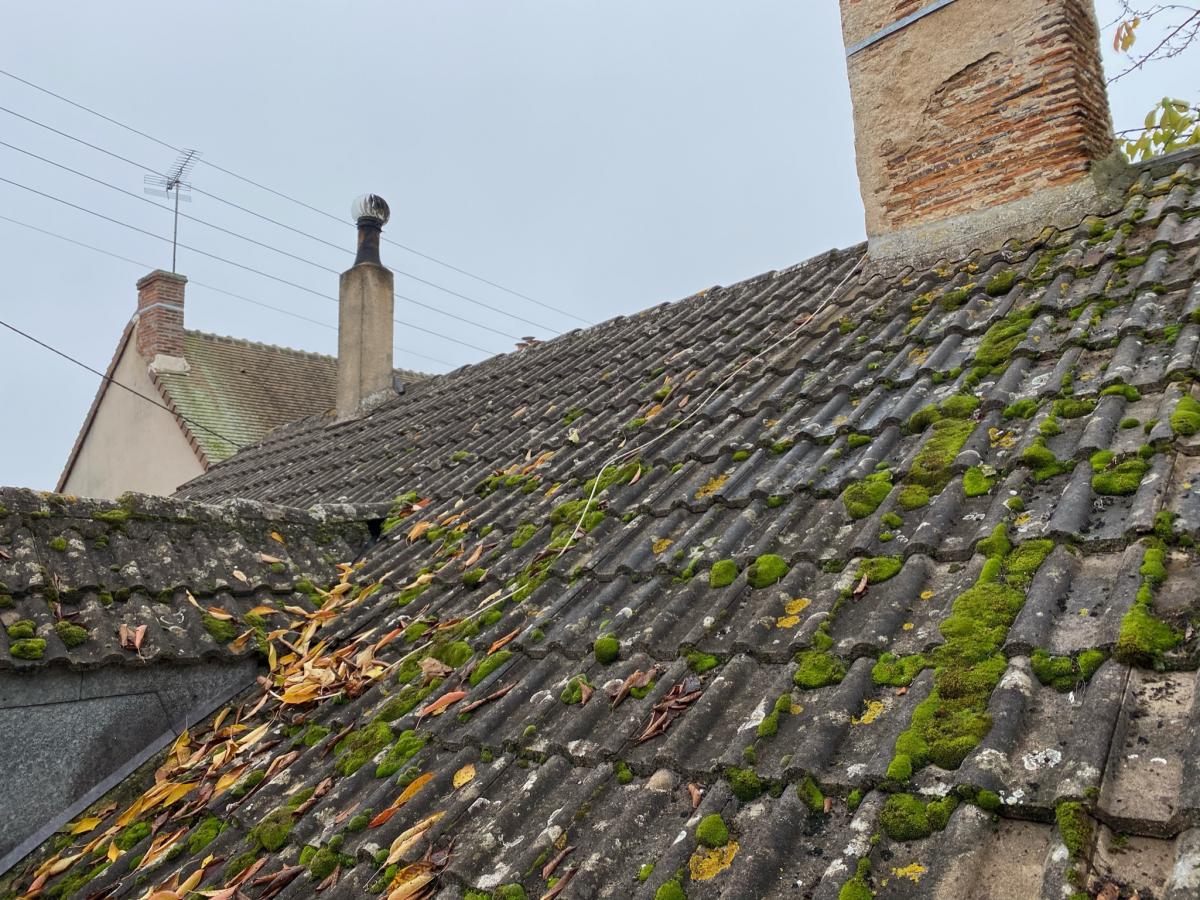 Toiture avant démoussage